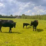Σπίτι διακοπών Animal Farm & Forest Rhode