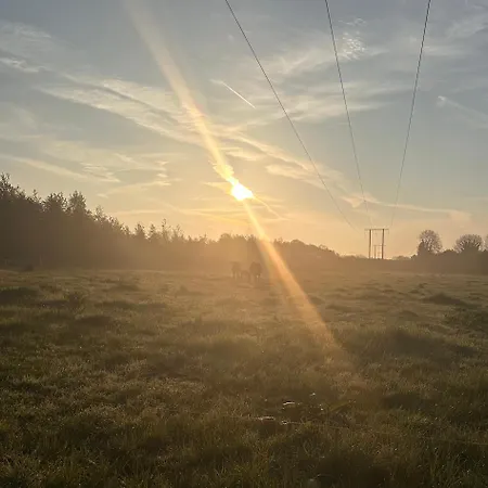 بيت للعطل Animal Farm & Forest *