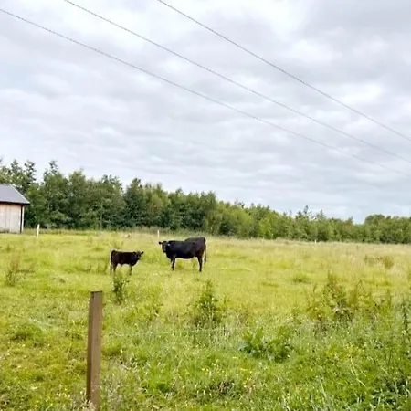 Animal Farm And Forest