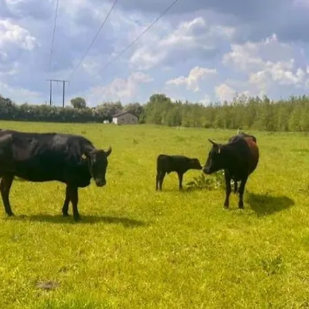 بيت للعطل Animal Farm & Forest Rhode