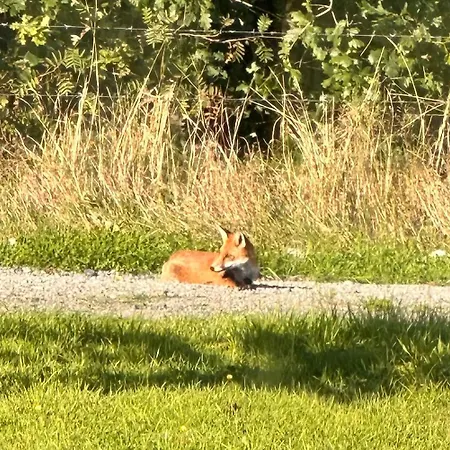 Animal Farm & Forest بيت للعطل