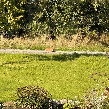 Animal Farm & Forest 度假居 *