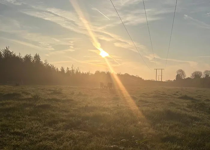 度假居 Animal Farm & Forest *