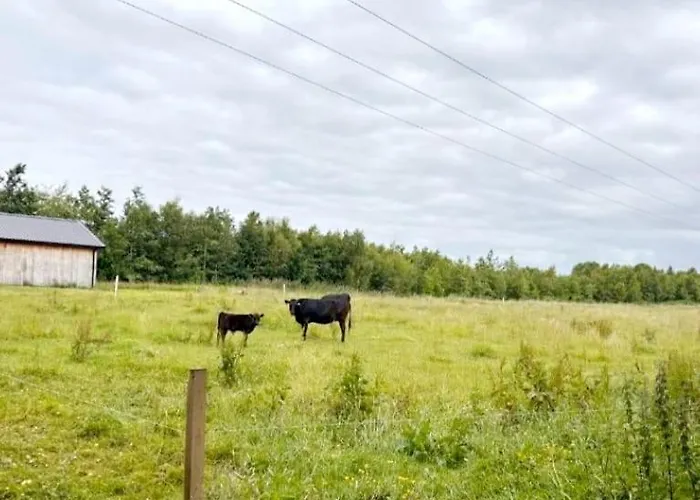 Animal Farm & Forest