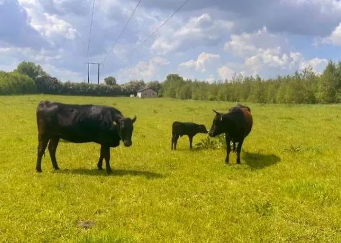 Дом отдыха Animal Farm & Forest Rhode