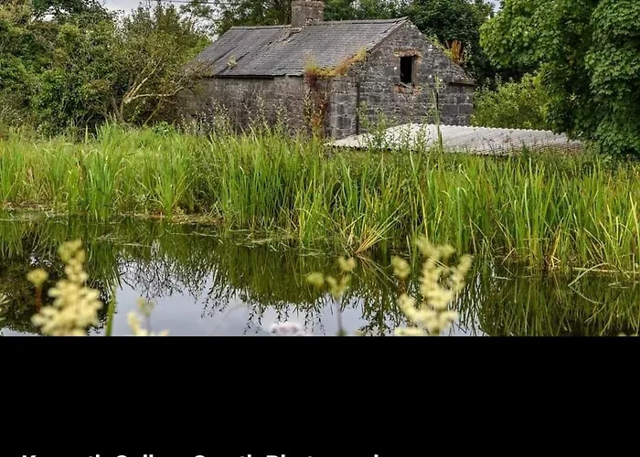 Animal Farm & Forest Дом отдыха